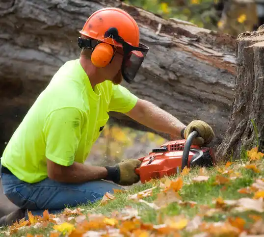 tree services Red Springs